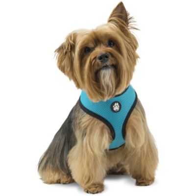 FurHaven Soft and Comfy Mesh Dog Harness, Lagoon