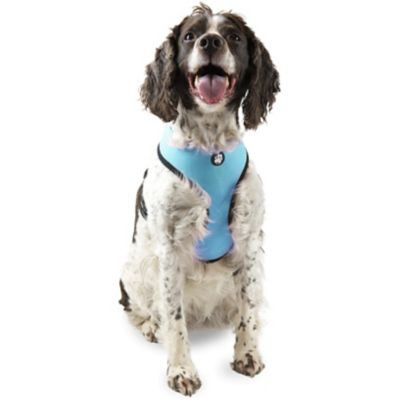 FurHaven Soft and Comfy Mesh Dog Harness, Lagoon