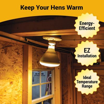 Image showing  Chicken Coop Electric Heat Package