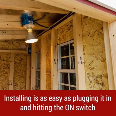 Image showing  Chicken Coop Electric Heat Package