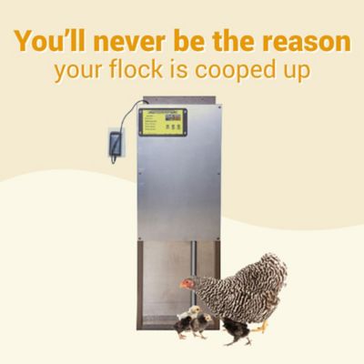 Image showing  Automatic Chicken Coop Door