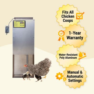 Image showing  Automatic Chicken Coop Door