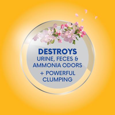 Image showing  4-in-1 Action Fresh Floral Scented Clumping Clay Cat Litter