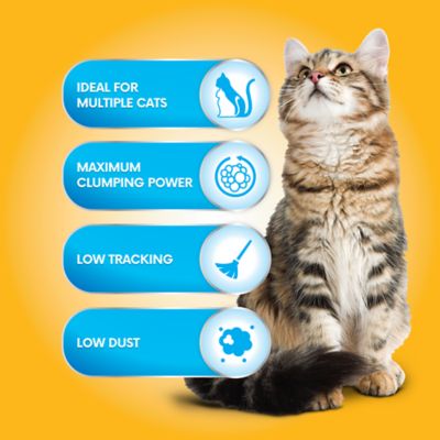 Image showing  4-in-1 Action Fresh Floral Scented Clumping Clay Cat Litter