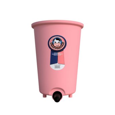 Image showing  6 qt. Single Calf Feeder Bucket
