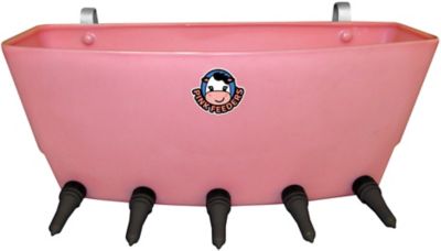 Peach Teats 4.5 gal. 5-Hole Calf Feeder, Complete