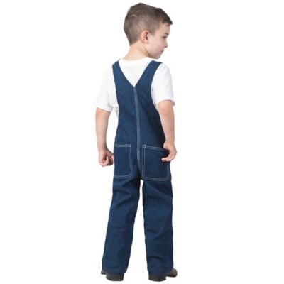 Image showing  Boys' Washed Denim Bib Overalls