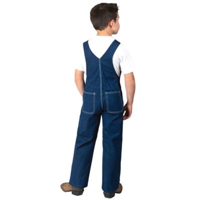 Image showing  Boys' Denim Bib Overalls