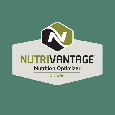 Image showing  Home Fresh Sow Developer Pelleted Pig Feed, 50 lb. Bag