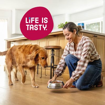 Image showing 5 th Kibbles 'n Bits Bistro Adult Oven-Roasted Beef Recipe Dry Dog Food, 45 lb. Bag