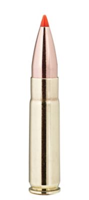 Image showing  .300 Blackout 110-Grain V-Max Bullets