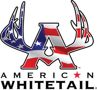 Image showing  .308 Winchester 150-Grain American Whitetail Interlock Bullets