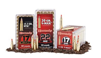 Image showing  17 HMR Rimfire V-Max Bullets, 17 Grain