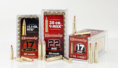Image showing  17 HMR Rimfire V-Max Bullets, 17 Grain