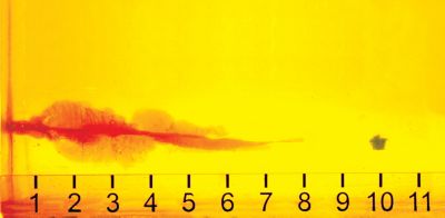 Image showing  .380 Auto 90-Grain Critical Defense FTX Bullets, 25 Rounds