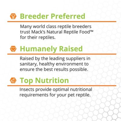 Image showing  1/4 in. Crickets, 1,000 ct.