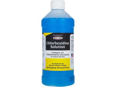 Image showing  2% Chlorhexidine Antibacterial Solution, 1 gal.