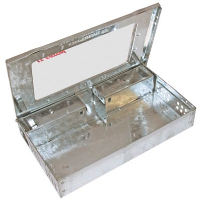 Image showing  Repeater Multi-Catch Live Mouse Trap