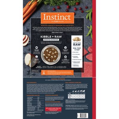 Image showing  Raw Boost All Life Stages Grain-Free High-Protein Natural Beef Recipe Dry Dog Food