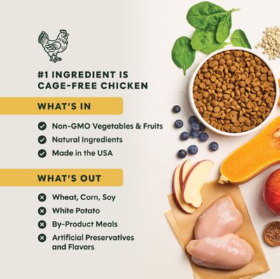 Image showing  BeNatural All Life Stages Whole Grain Chicken and Brown Rice Recipe Dry Dog Food, 25 lb. Bag