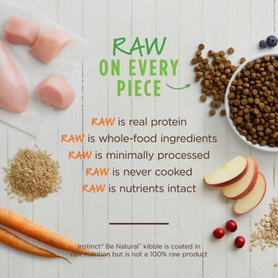 Image showing  Be Natural All Life Stages No Corn, Wheat or Soy, Chicken and Brown Rice Recipe Dry Dog Food