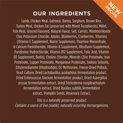 Image showing 5 th Instinct Be Natural All Life Stages No Corn, Wheat or Soy, Lamb and Oatmeal Recipe Dry Dog Food