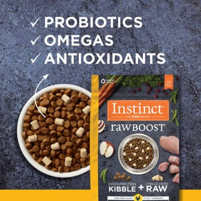 Image showing 5 th Instinct Raw Boost All Life Stages Grain-Free Natural Chicken Recipe Dry Dog Food