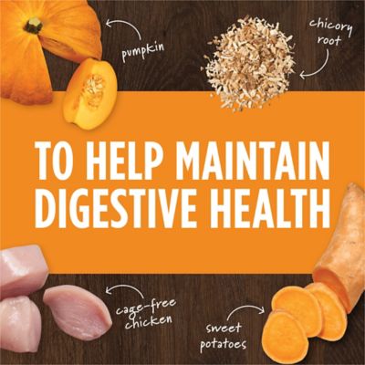 Image showing  Raw Boost Mixers Gut Health Freeze-Dried Dog Food Topper