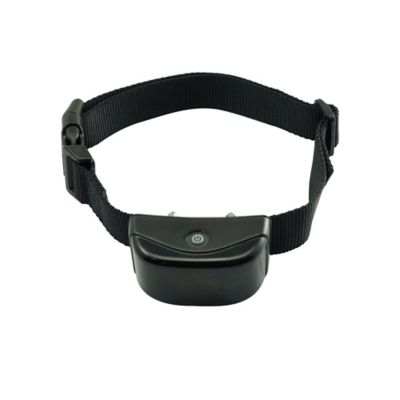 tsc shock collar