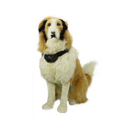 Bark Collar Dog Training Collar for Dogs 3 Modes Anti Bark Collar for Dogs-Rainproof…