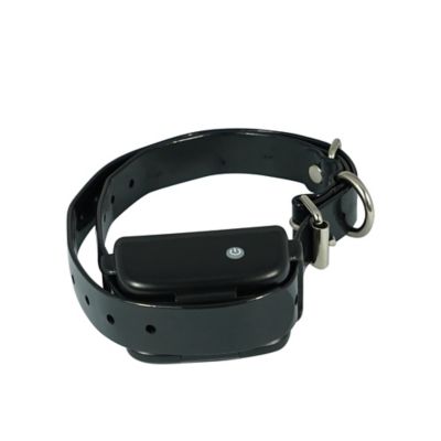 tsc shock collar