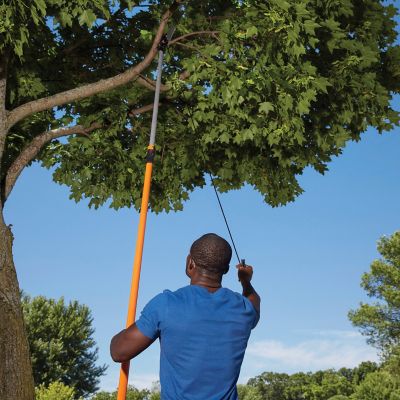 Image showing  14 ft. Power-Lever Extending Saw/Pruner