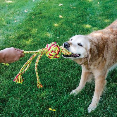 Image showing  Wubba Weave Dog Toy, Extra Large
