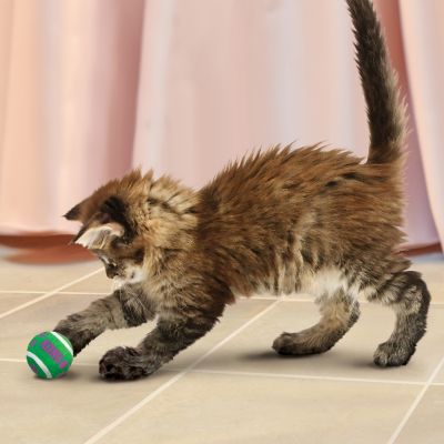 Image showing  Cat Active Tennis Balls with Bells Cat Toys