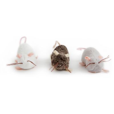 petlinks lil creepers