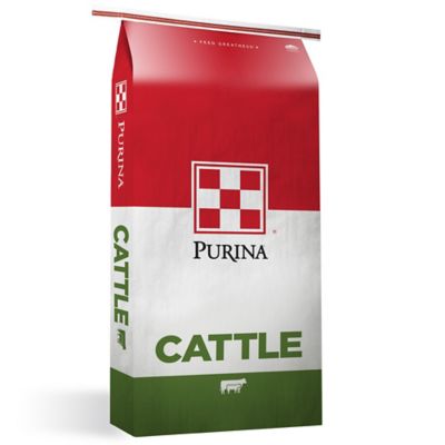 Purina Ranch Hand 20 Cattle Cubes Protein Supplement, 50 lb. Bag