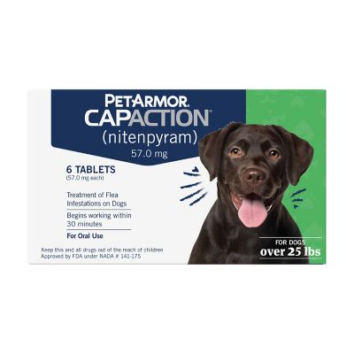 capaction for fleas