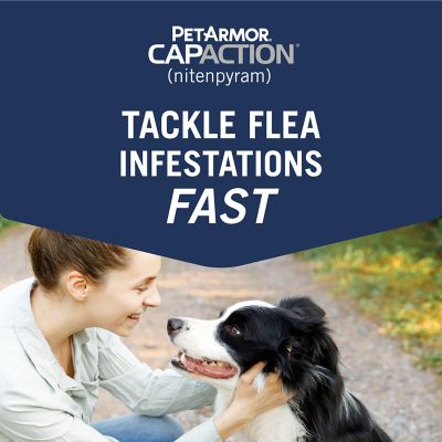 Image showing 6 th PetArmor CapAction Flea Treatment Tablets for Dogs 25+ lb., 6 ct.