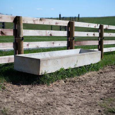 Image showing  10 ft. Field Bunk Feeder