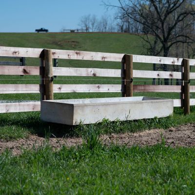 Image showing  10 ft. Field Bunk Feeder