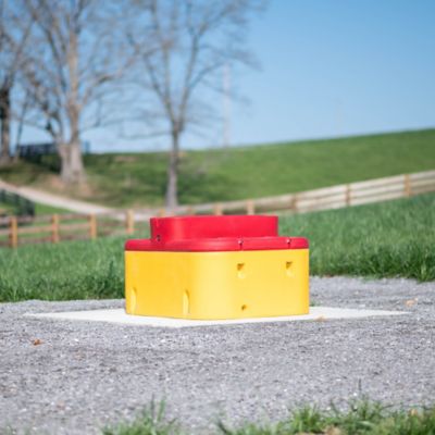 Image showing  Concrete Waterer Pad for Energy-Free or Electric Drinkers, 6 ft.