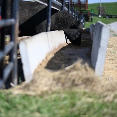 Image showing  8 ft. Wide J Feeder