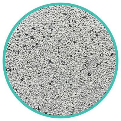 Image showing Free and Clean Unscented Clumping Clay Cat Litter, Multi-Cat