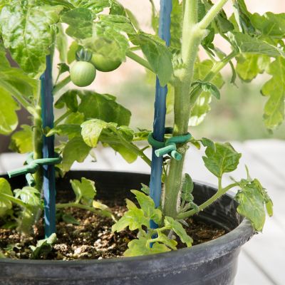 Image showing  20 ft. Gear Tie Reusable Foam Twist Tie