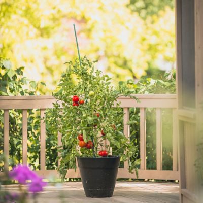 Image showing  3 ft. Sturdy Garden Stake