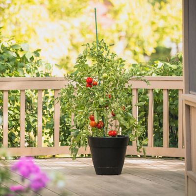 Image showing  7 ft. Sturdy Garden Stakes