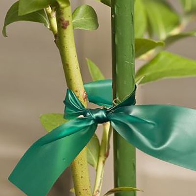 Image showing  7 ft. Sturdy Garden Stakes