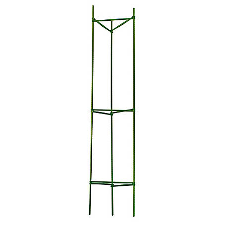 Details about   6 Pack Tomato Cages Stands 24" Plant Support Garden Trellis Tomatoes Rings 