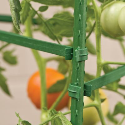 Image showing 6 th Gardener's Blue Ribbon 60 in. Ultomato Tomato Plant Cage, Green