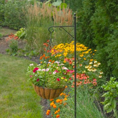 Image showing  10 lb. Metal Hanging Grower's Plant Basket, 14 in., Black